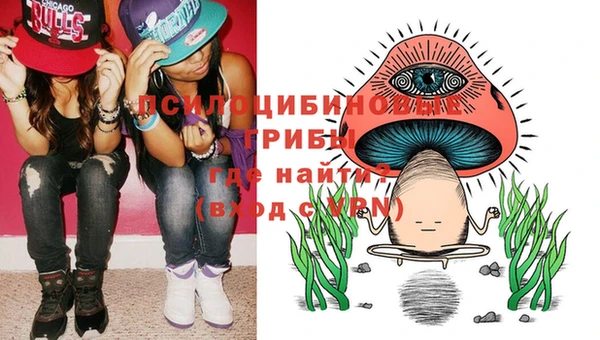 spice Лиски