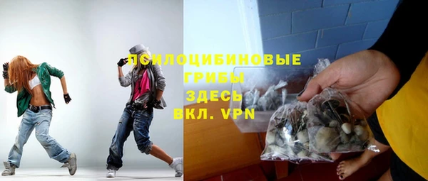 spice Лиски