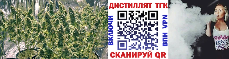 ТГК Wax  маркетплейс как зайти  Хвалынск 