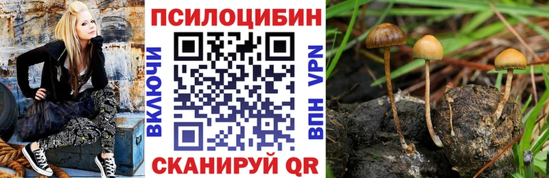 Псилоцибиновые грибы мухоморы  наркошоп  Хвалынск 